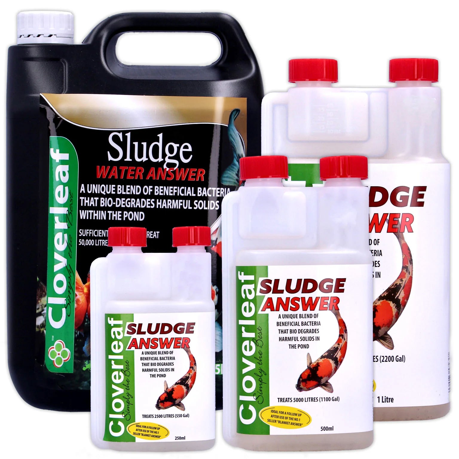 Cloverleaf Sludge Answer Picture 2
