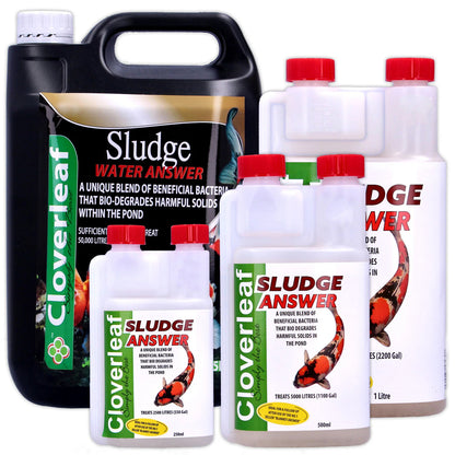 Cloverleaf Sludge Answer Picture 2