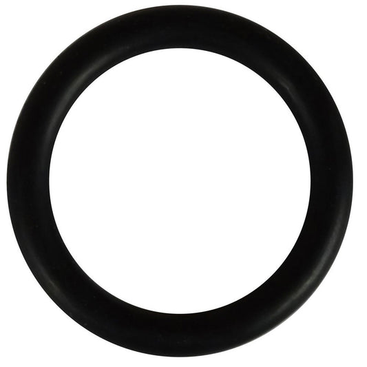 O-Ring for EA 1½ Inch Threaded Hosetail - Image 1