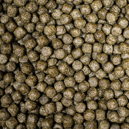 NT Labs MediKoi Staple Fish Food With Colour Enhancer (6mm) - 10Kg - Image 2