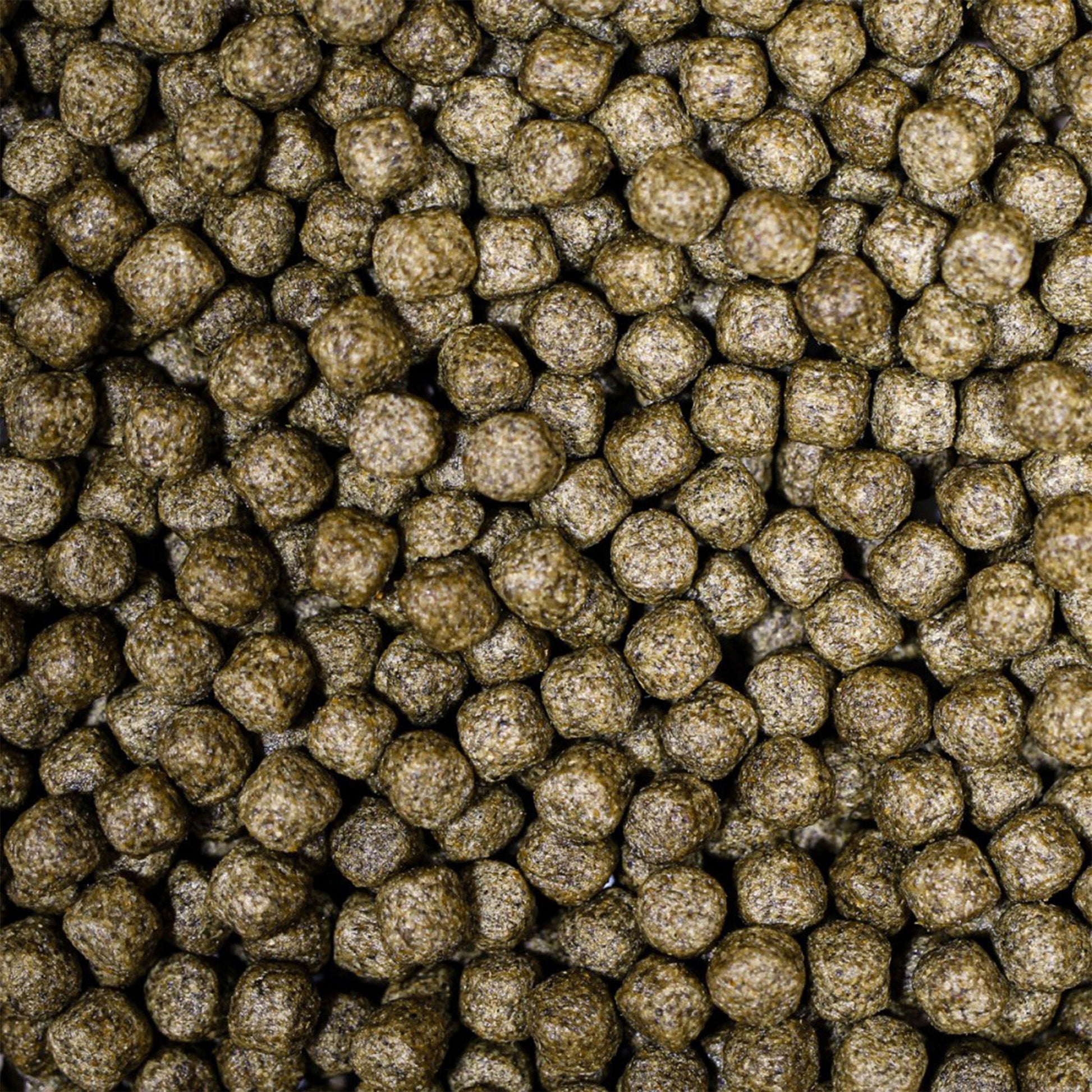 NT Labs MediKoi Staple Fish Food With Colour Enhancer (6mm) - 1.75Kg - Image 2