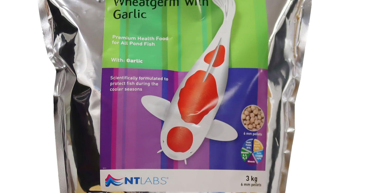 Labgs Germ NT Labs MediKoi Wheatgerm With Garlic Fish Food (6mm) - 3Kg