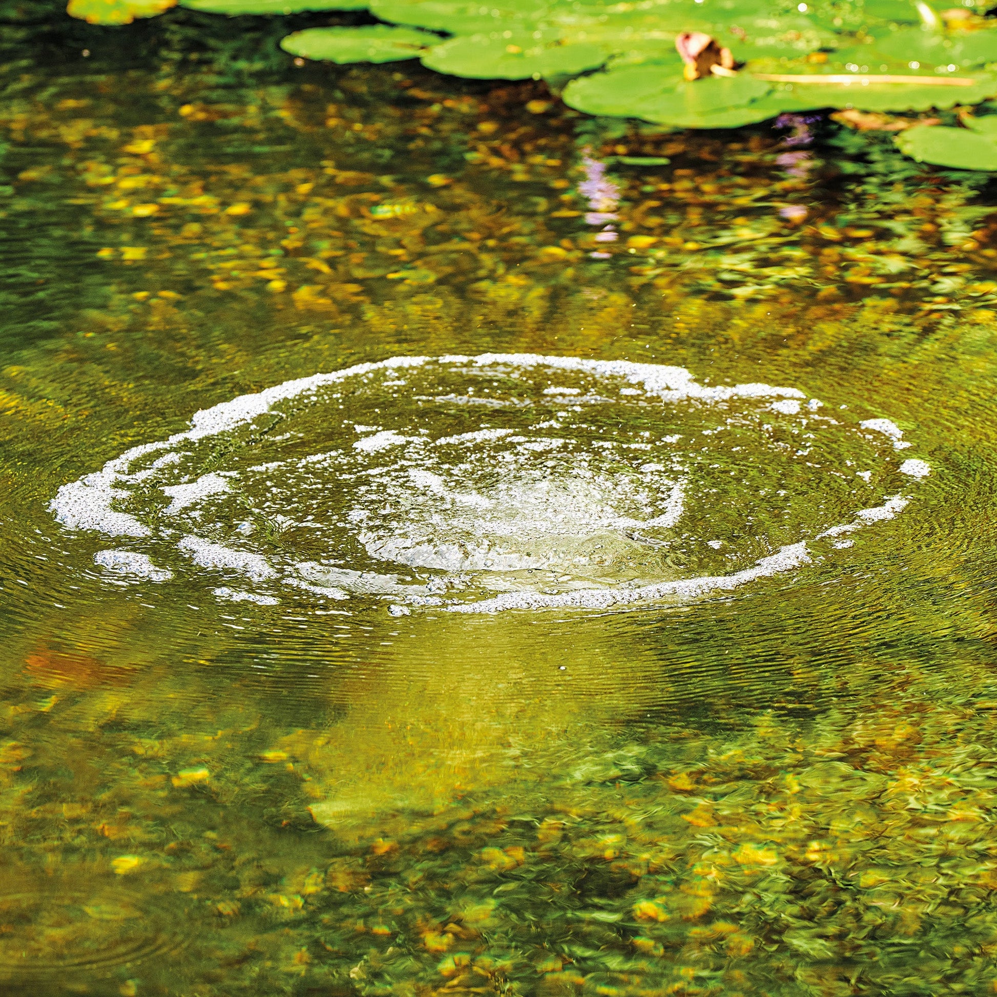 Oase AquaOxy 250 Air Pump - Image 3