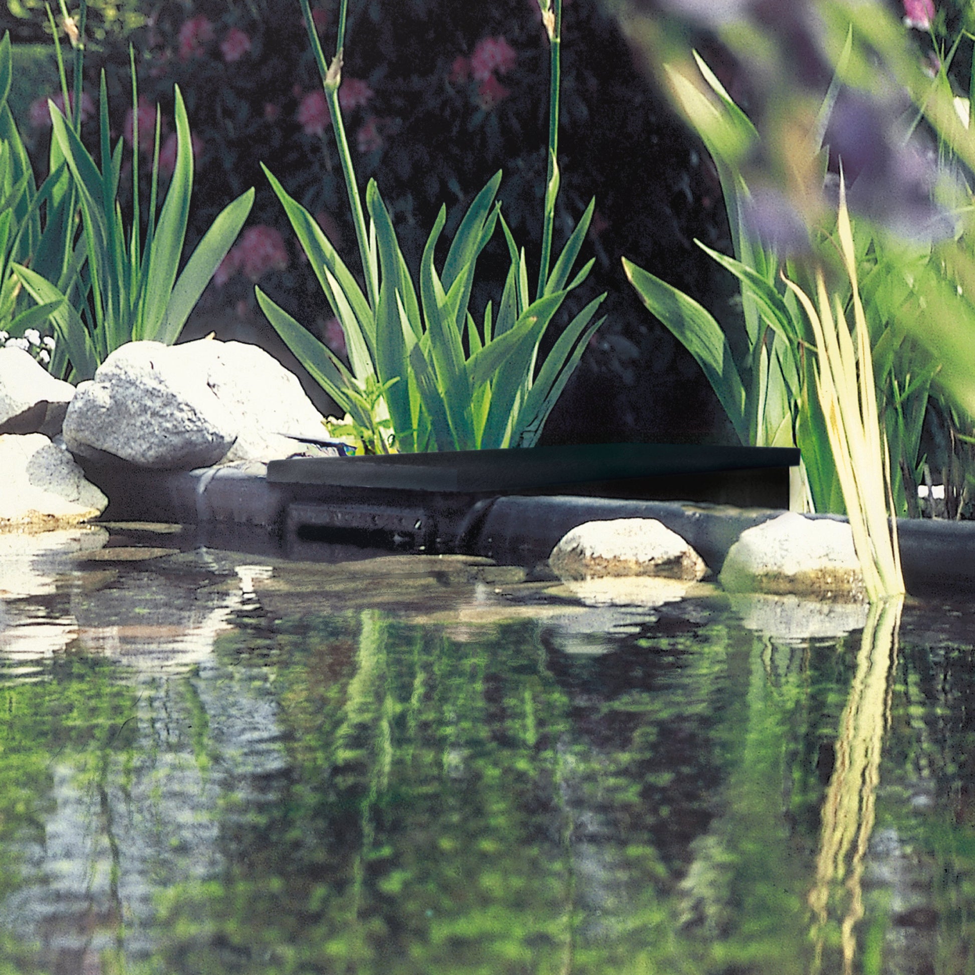 Oase BIOsys Skimmer+ Pond Skimmer Pic 2