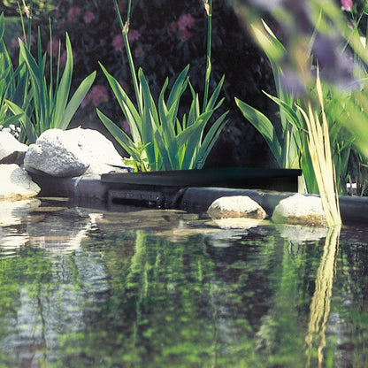 Oase BIOsys Skimmer+ Pond Skimmer Pic 2