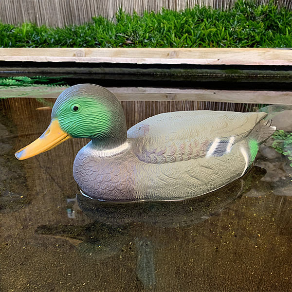 Oase Floating Mallard Duck Drake