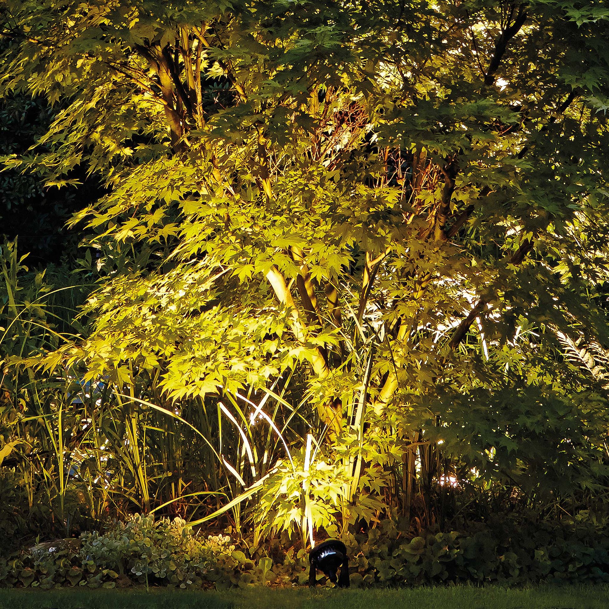 Oase LunAqua Power LED - Single Add On Light - Image 7