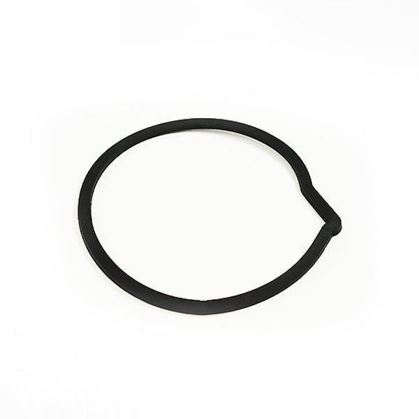 Oase PondJet Eco - Flat Gasket 110 X 100 X 2.5 USP 60 (13346) - Image 1