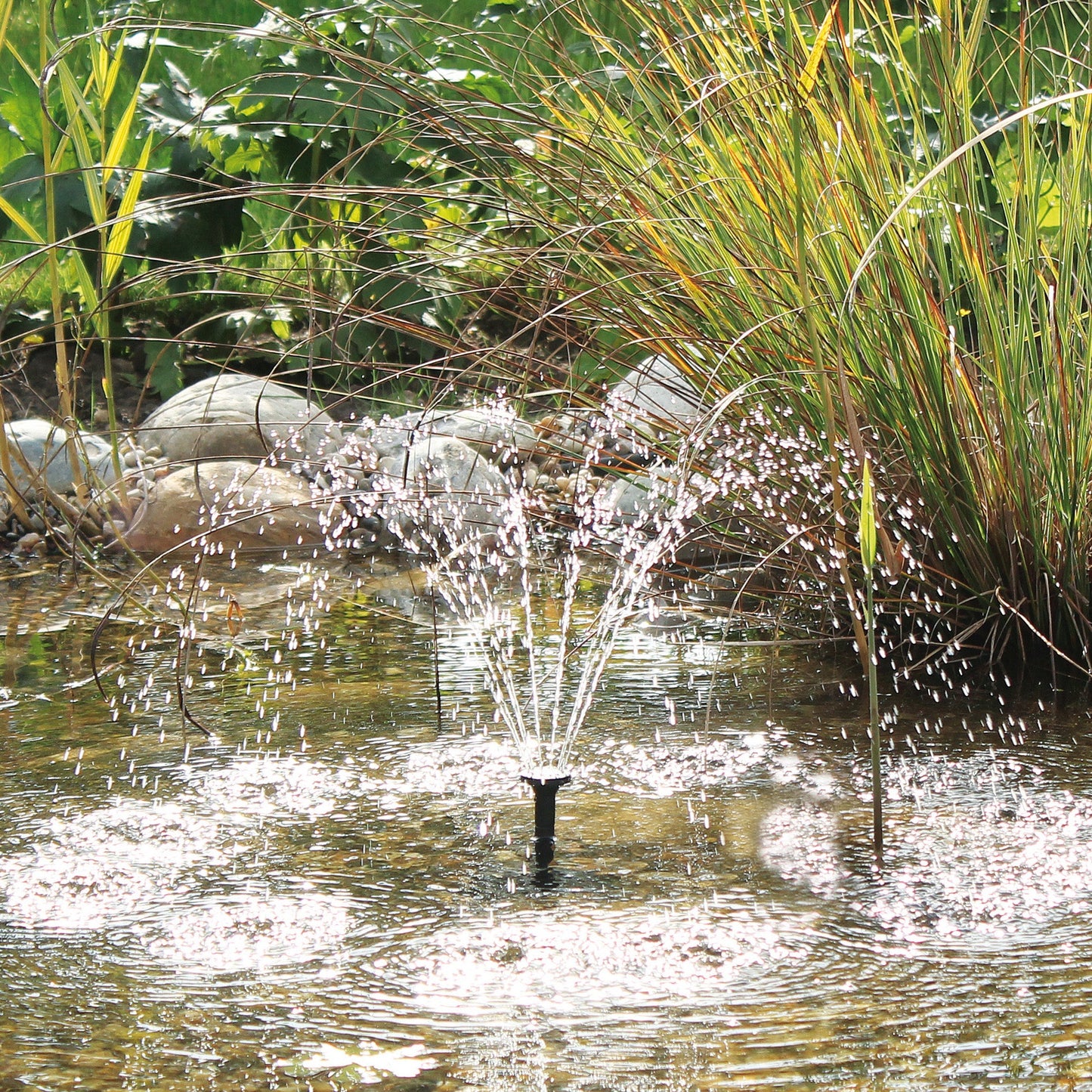 Pontec PondoSolar 150 - Solar Fountain Pump - Image 4