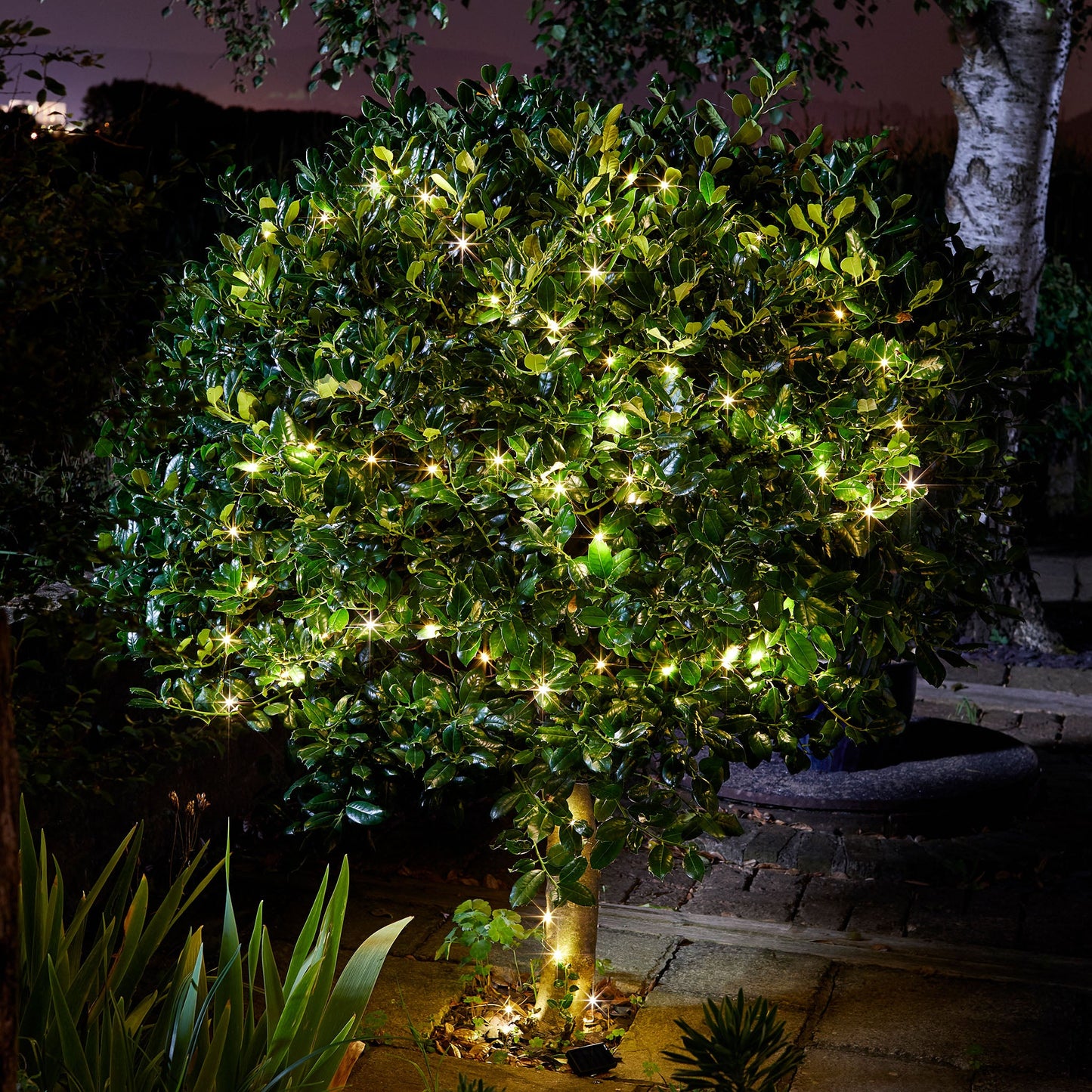 Smart Solar - Solar Powered Firefly String Lights - Warm White - 100 LEDs - Image 3