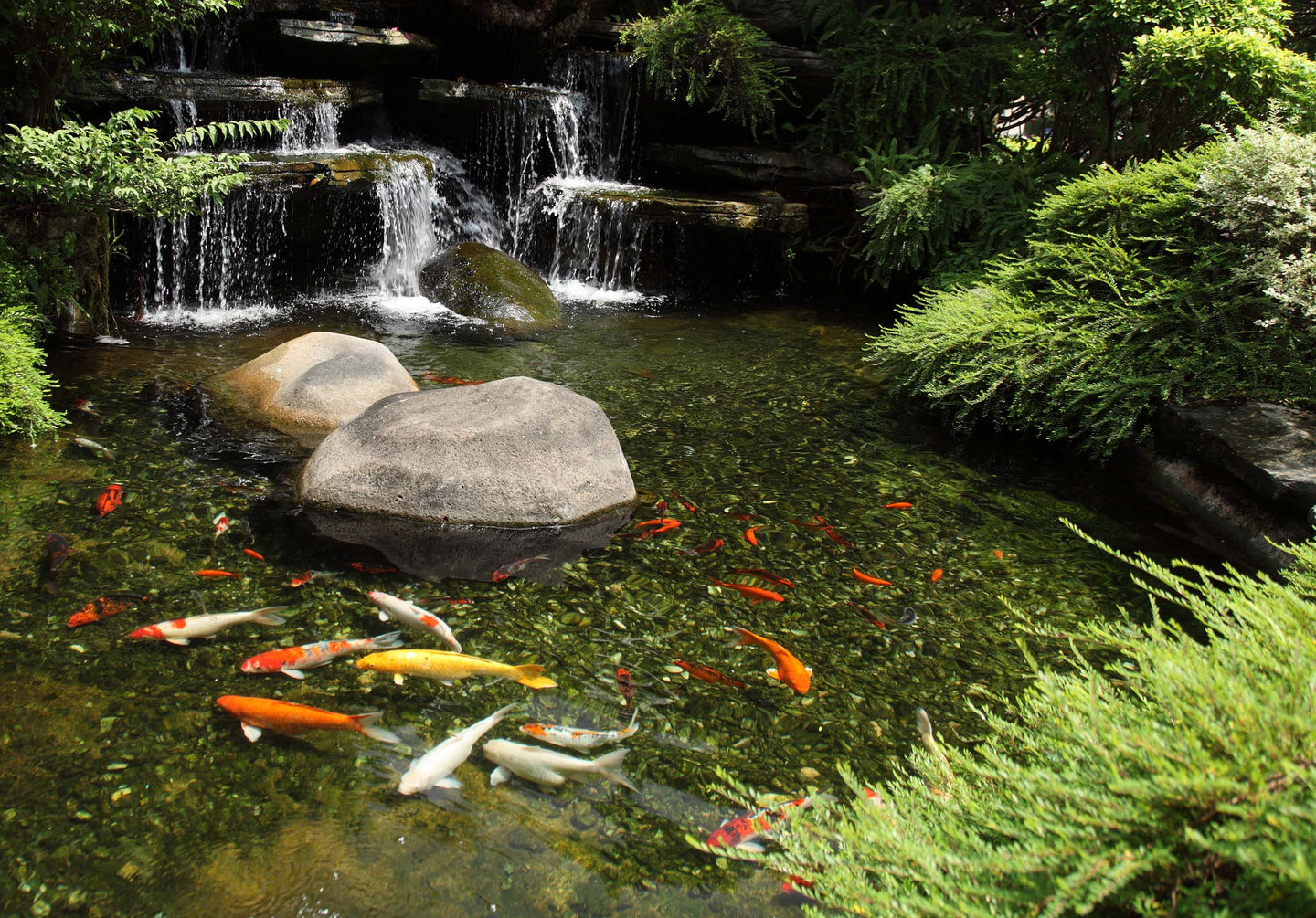 Over 25 Years of Garden Pond Filtrations experience