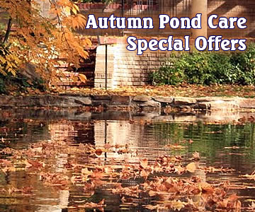 Autumn Pond Care - Special Offers