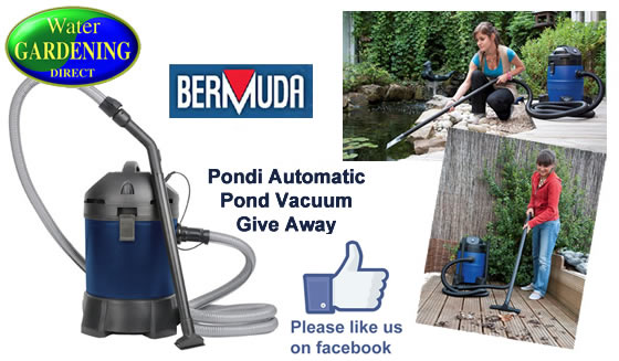 Bermuda Pondi vac Prize Draw